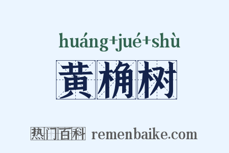 黄桷树是什么意思的图片